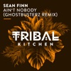 Ain't Nobody (Ghostbusterz Euro Remix) cover art