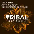 Ain't Nobody (Ghostbusterz Euro Remix)