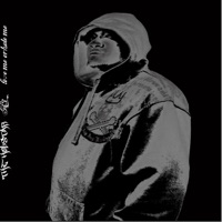 H3 Love Me or Hate Me - Holstar