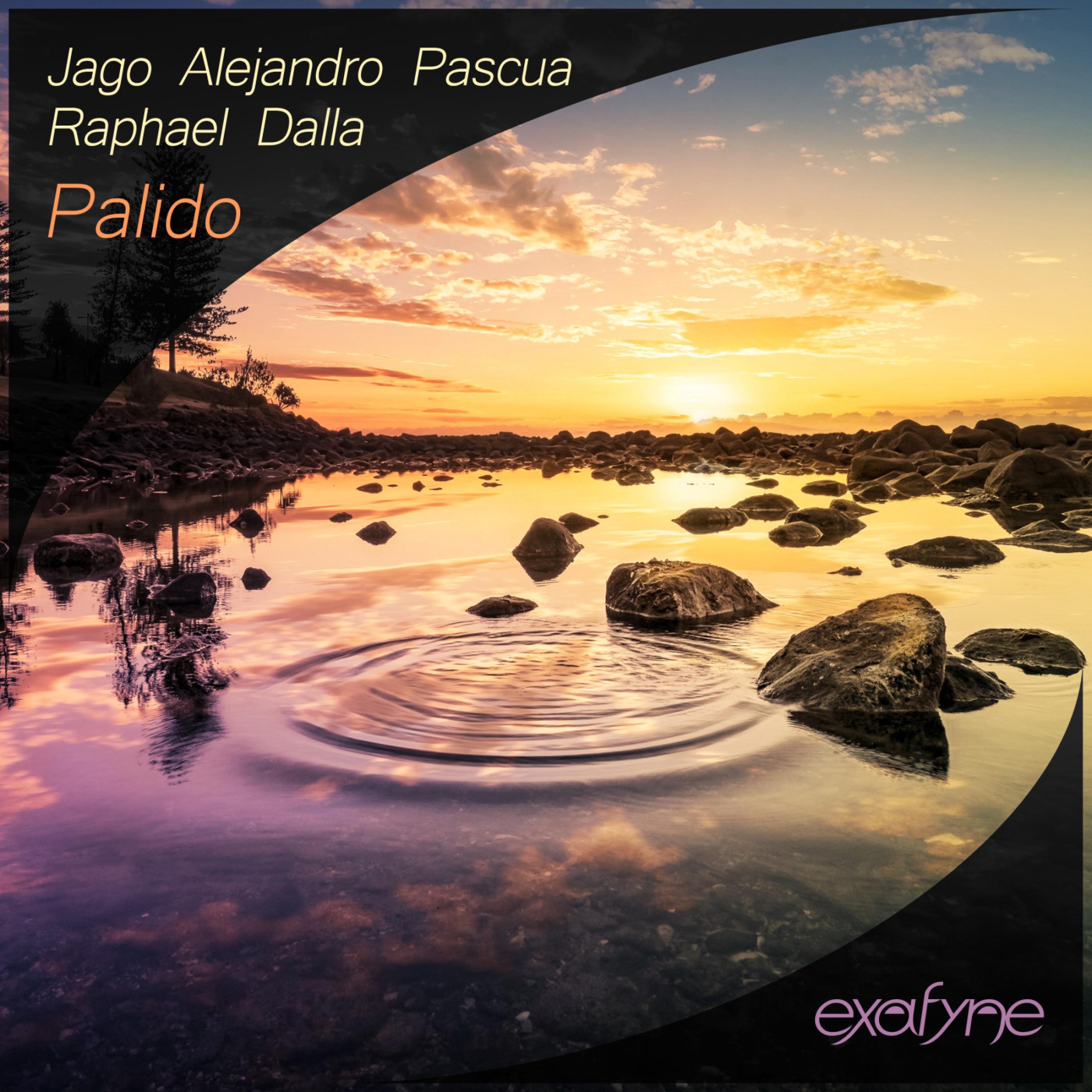 Palido - Single