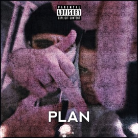 Plan (feat. Nestr) BANKIR