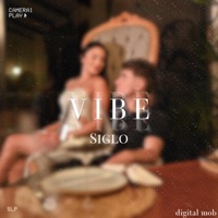 Vibe (feat. Digital Mob) - Single - Siglo