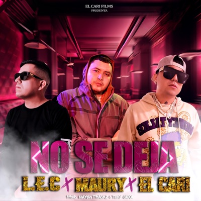 No Se Deja (feat. Maurylaovejanegra & El Cari) - Single
