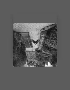 Ακούστε περιεχόμενο από Avi miz, παρακολουθήστε μουσικά βίντεο, διαβάστε το βιογραφικό, δείτε ημερομηνίες περιοδείας, και πολλά ακόμη!