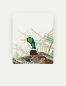 聆聽 Zuzanna Żak、觀看音樂影片、閱讀小傳、查看巡演日期等！