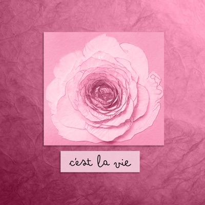 c'est la vie - Single