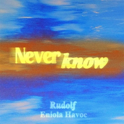 Never Know - Single