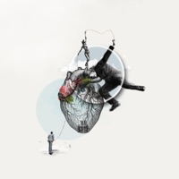 Así nos va - IBAUTE