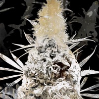 Granddaddy Purple - Single - !Noj