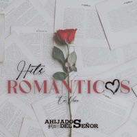 Hits Románticos (En Vivo) - Los Ahijados Del Señor