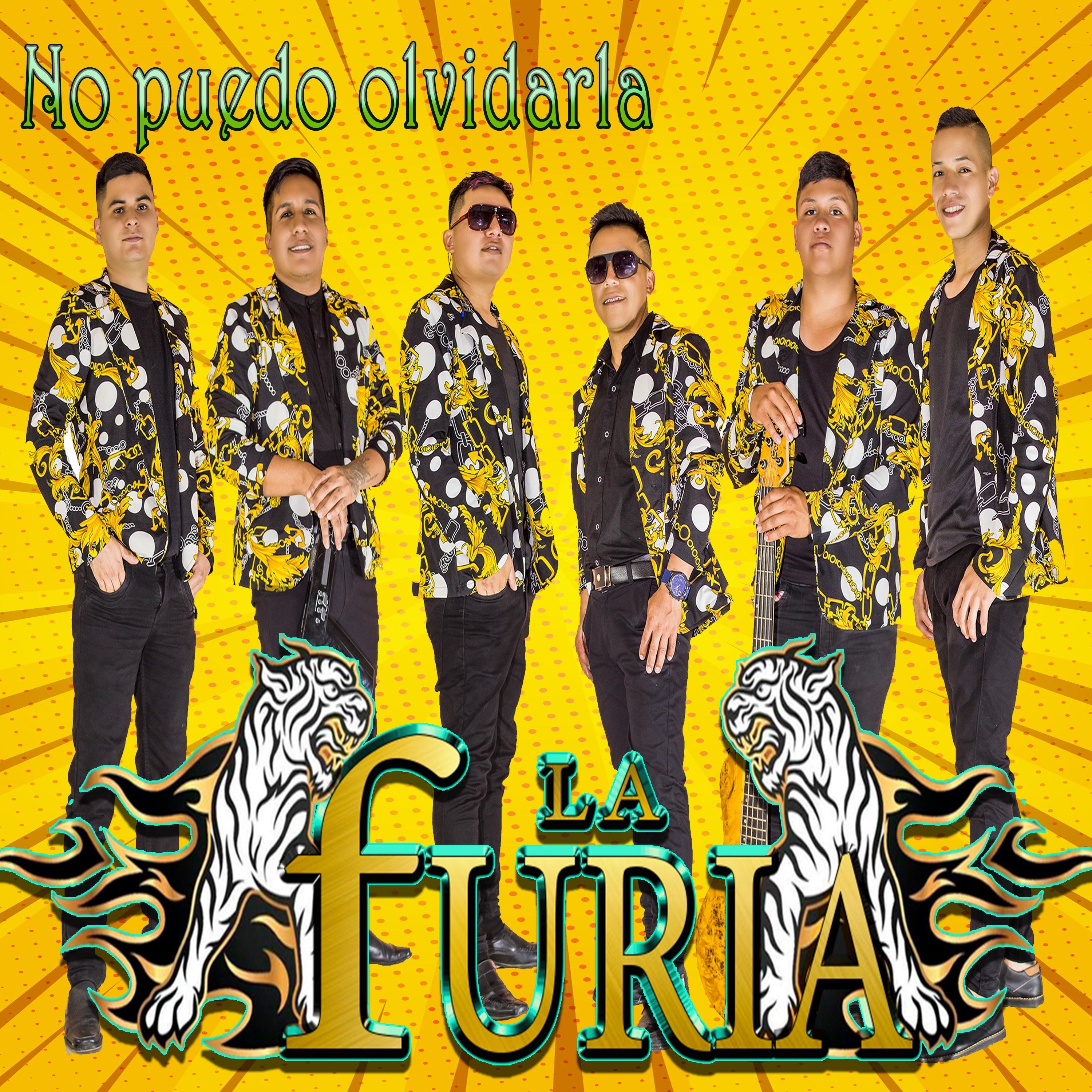 No Puedo Olvidarla - Single