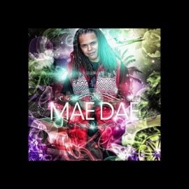 What You Want DMX Mae Dae