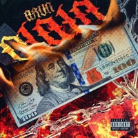 Plata - Single - Arun 101g