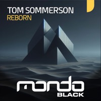 Reborn - Single - Tom Sommerson