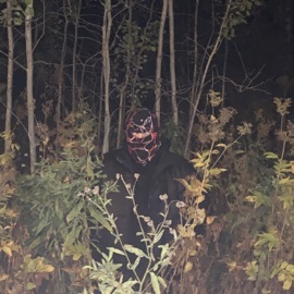 Сквозь облик монстра ushira