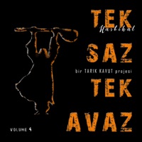 Tek Saz Tek Avaz, Vol. 4 (Hasbihal) - Tek Saz Tek Avaz & Tarık Kavut