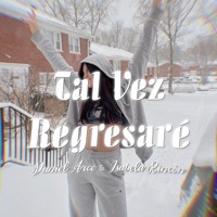 Tal vez Regresare (feat. Isabela Rincon) - Single - Daniel Arce Echavarria