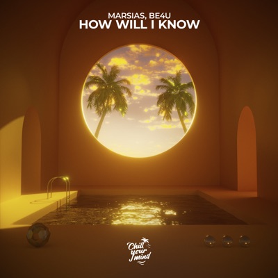 How Will I Know - Single