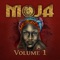Couldn't Find You in a Bottle (feat. Sheléa) - MOJA lyrics