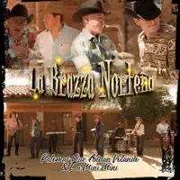 PALOMAS QUE ANDAN VOLANDO — LA BRAZZA NORTEÑA