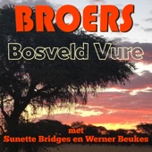 Bosveld Vure (feat. Sunette Bridges & Werner Beukes) artwork
