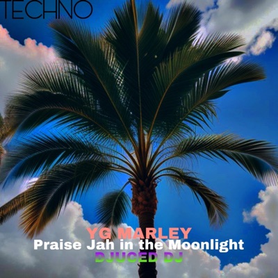 DJUCED DJ - Praise Jah In the Moonlight (TECHNO)