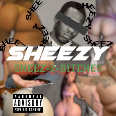 2 Bitches (feat. SPR Sheezy) - Single