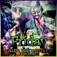 Friday (feat. Afroman) - Single - Caleb Wildcard