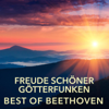 Freude schöner Götterfunken - Best of Beethoven - Various Artists