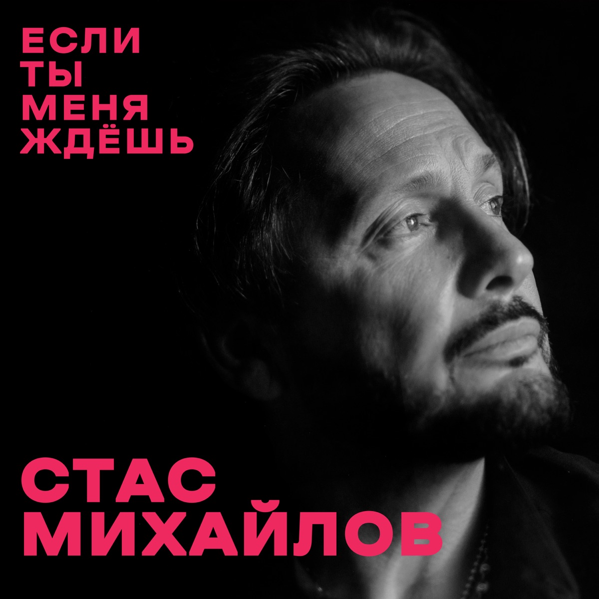 Альбом «Жизнь-река» — Стас Михайлов — Apple Music