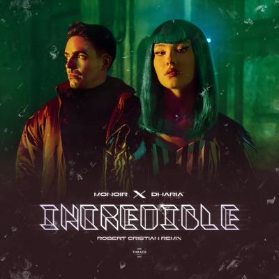 Incredible (Robert Cristian Remix) - Single