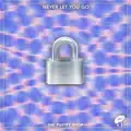 Never Let You Go