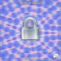 Never Let You Go