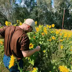 Cleb을(를) 듣고, 뮤직 비디오를 보고, 약력을 읽고, 투어 일정 등을 확인하세요!