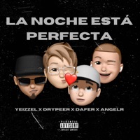 La Noche Está Perfecta (feat. Yeizzel & Drypeer) - Single - AngelR & Dafer