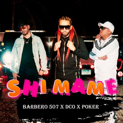 Shimame (feat. D-Co & Poker) - Single