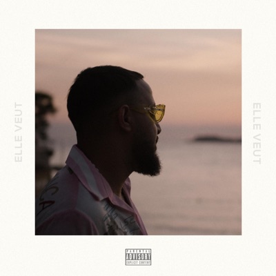 ELLE VEUT - Single