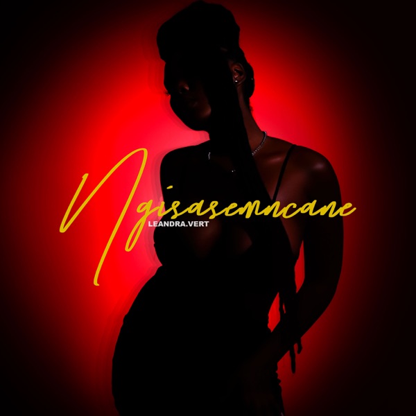 Ngisasemncane (feat. Nkulee501 & Skroef28) - Single