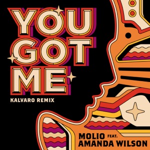 You Got Me (Kalvaro Remix) [feat. Amanda Wilson] - Single