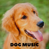 Dog Lullaby Songs artwork