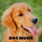 Chasing Tails - Dog Music lyrics