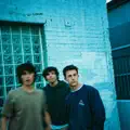 Wallows