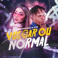 Vulgar ou Normal - Single - MC Branquinha & Mc Delux