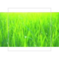 I Dream in Patterns - Single - C. Friend