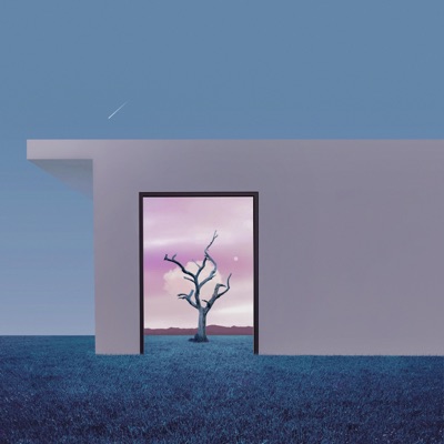 Afterlife (feat. Adam Turley) - Single