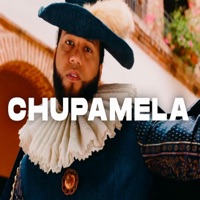 Chu Chu Pamela (Pista De Dembow) - Single - Baby J Produciendo