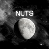 Nuts - Single