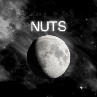 Nuts - Single - MUVAL