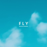 Fly - Single - Ocean Roses
