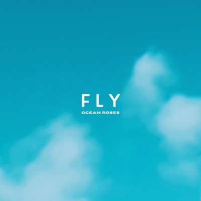 Fly - Single